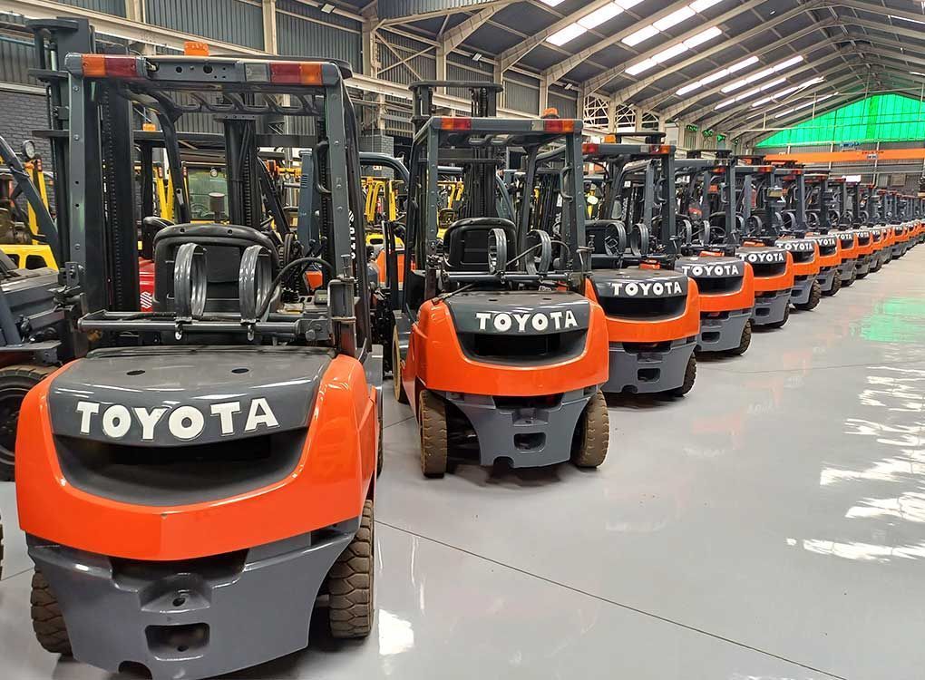 A row of Toyota counterbalance forklifts for sale